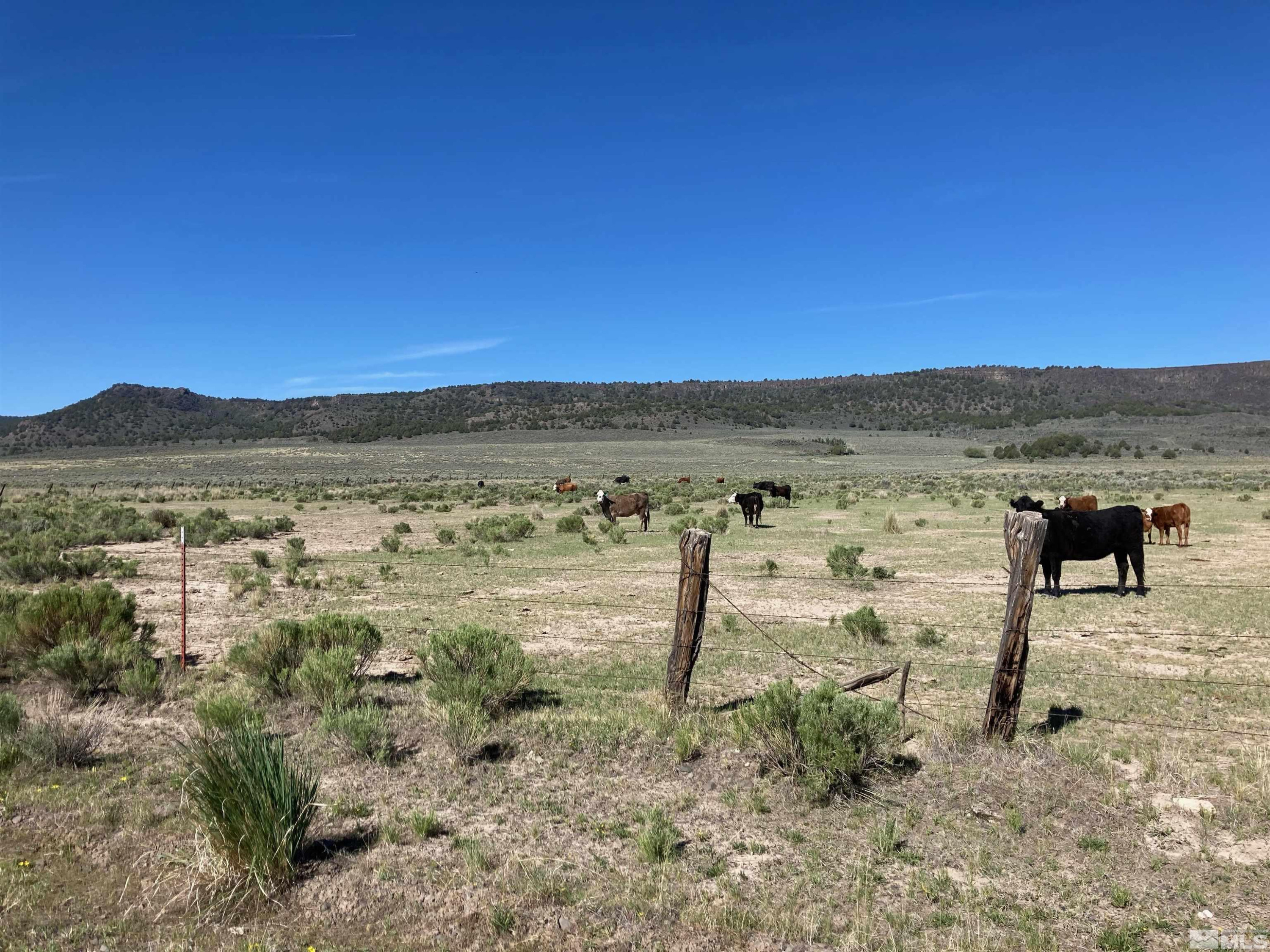 11069 Mosquito Road Gerlach, NV 89412 - Photo 10 of 21 Photo 10