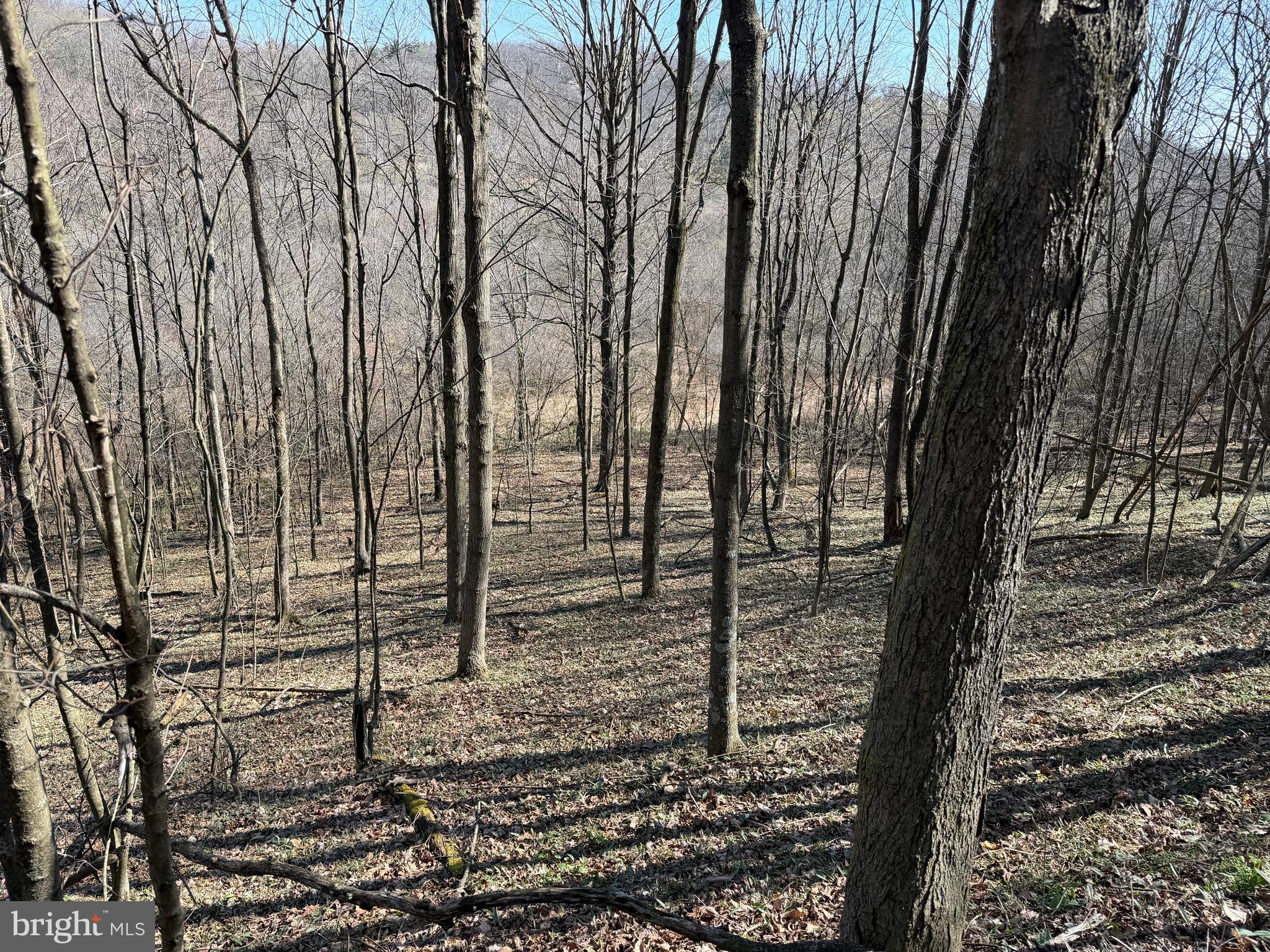 129-acres Black Hollow Road Schellsburg, PA 15559 - Photo 57 of 72 a view of a backyard