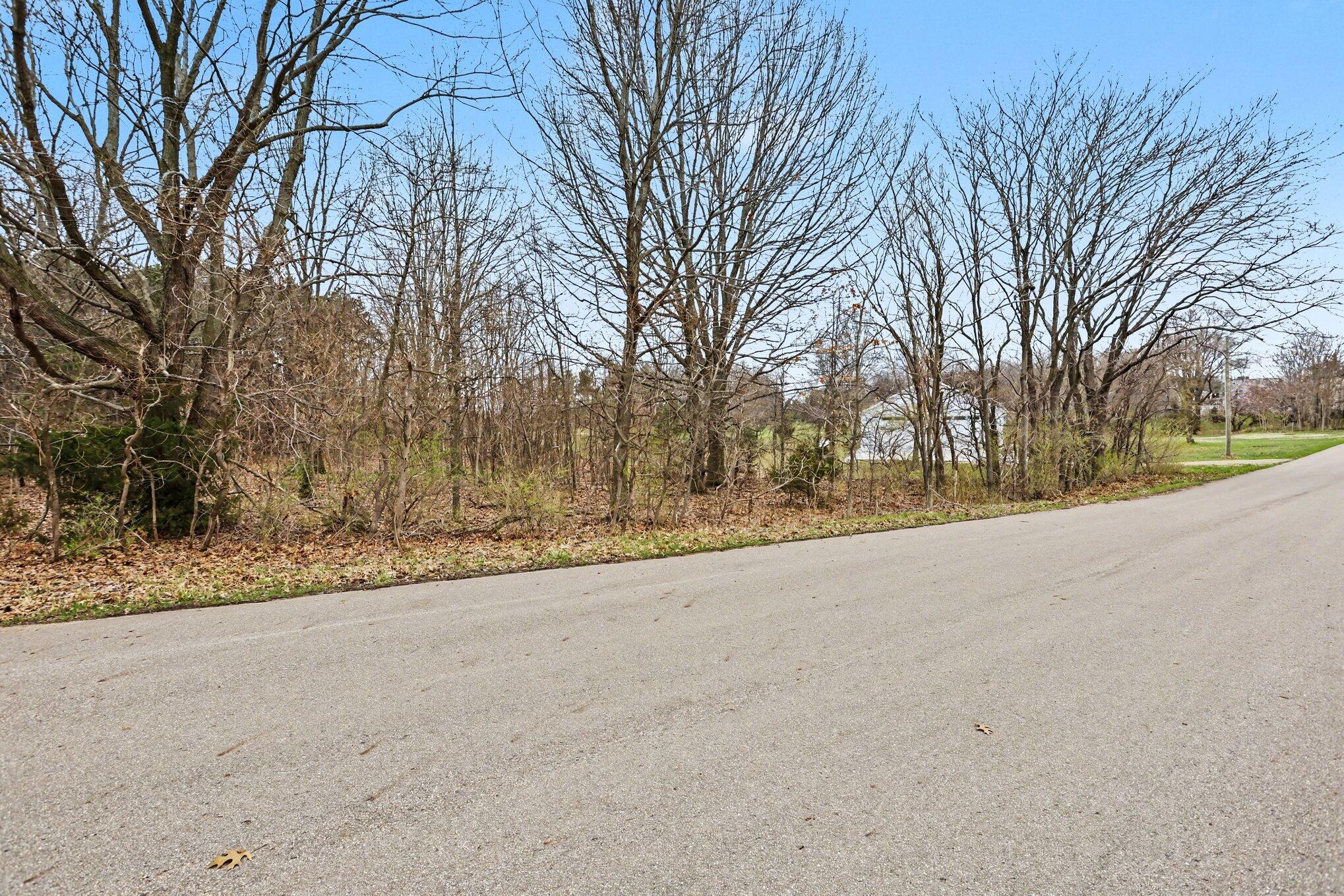 0 Ridge Road Stevensville, MI 49127 - Photo 6 of 7 5