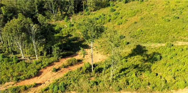 $239,900 | Lot 7 Thayer Road, Trinity, NC 27370