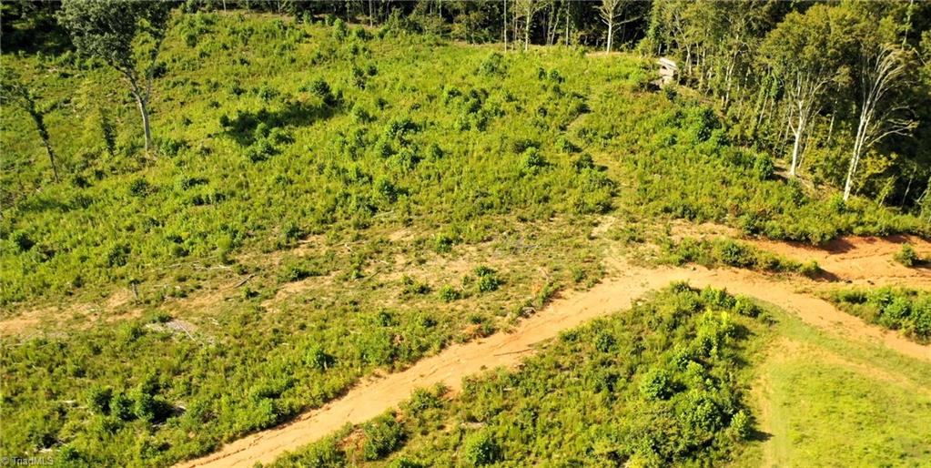 Lot 7 Thayer Road Trinity, NC 27370 - Photo 14 of 25