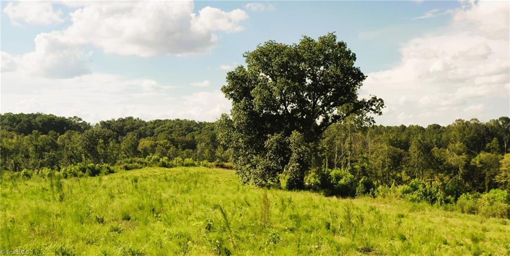 Lot 7 Thayer Road Trinity, NC 27370 - Photo 17 of 25