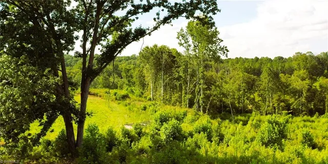 $239,900 | Lot 7 Thayer Road, Trinity, NC 27370