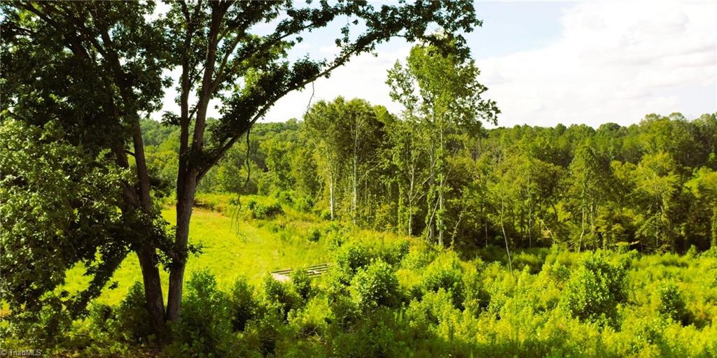 Lot 7 Thayer Road Trinity, NC 27370 - Photo 18 of 25