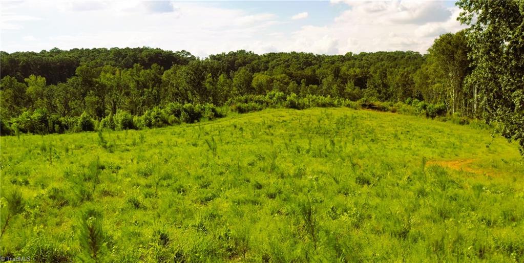 Lot 7 Thayer Road Trinity, NC 27370 - Photo 21 of 25