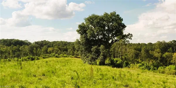 $239,900 | Lot 7 Thayer Road, Trinity, NC 27370