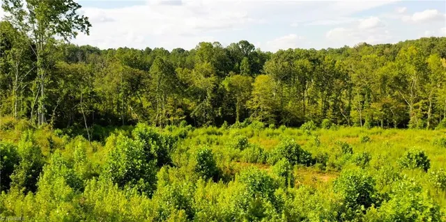 $239,900 | Lot 7 Thayer Road, Trinity, NC 27370