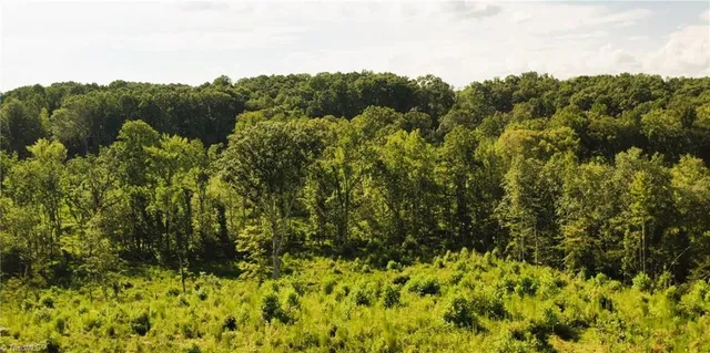 $239,900 | Lot 7 Thayer Road, Trinity, NC 27370