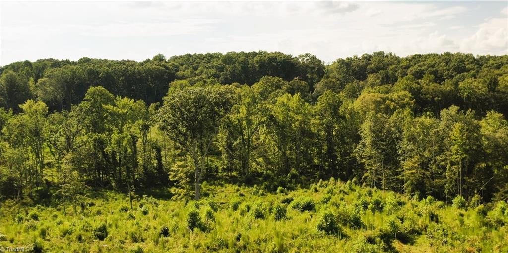 Lot 7 Thayer Road Trinity, NC 27370 - Photo 23 of 25