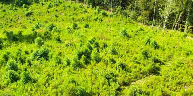 $239,900 | Lot 7 Thayer Road, Trinity, NC 27370