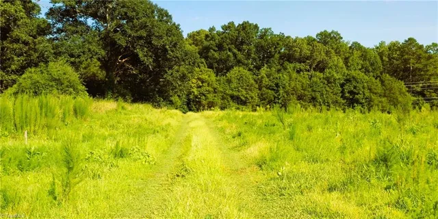 $239,900 | Lot 7 Thayer Road, Trinity, NC 27370