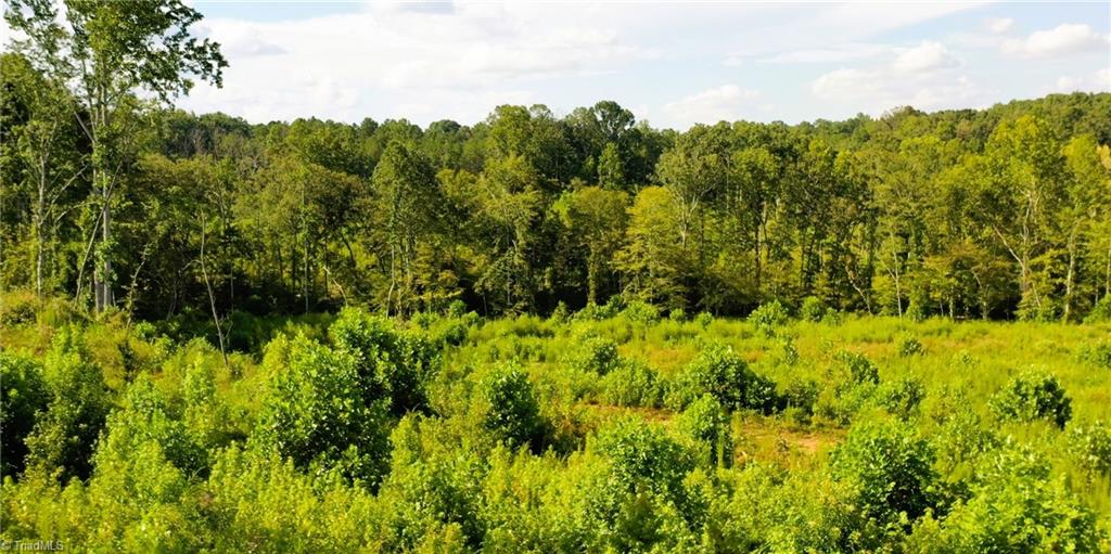 Lot 7 Thayer Road Trinity, NC 27370 - Photo 27 of 30