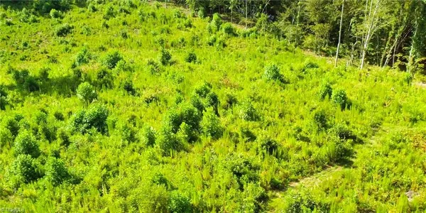 $239,900 | Lot 7 Thayer Road, Trinity, NC 27370