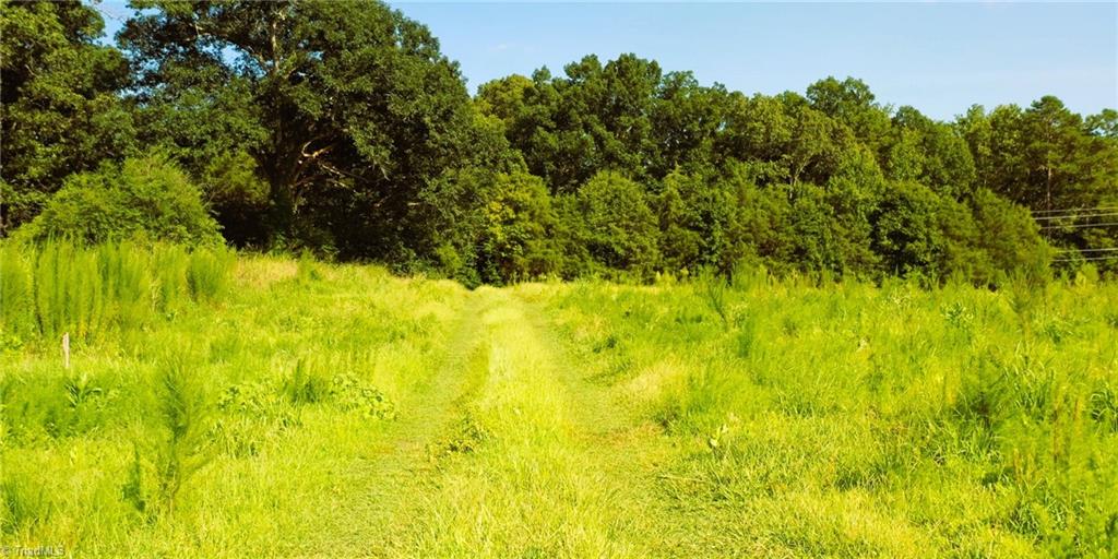 Lot 7 Thayer Road Trinity, NC 27370 - Photo 30 of 30