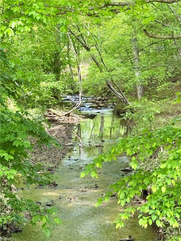 Lot 7 Thayer Road Trinity, NC 27370 - Photo 4 of 25