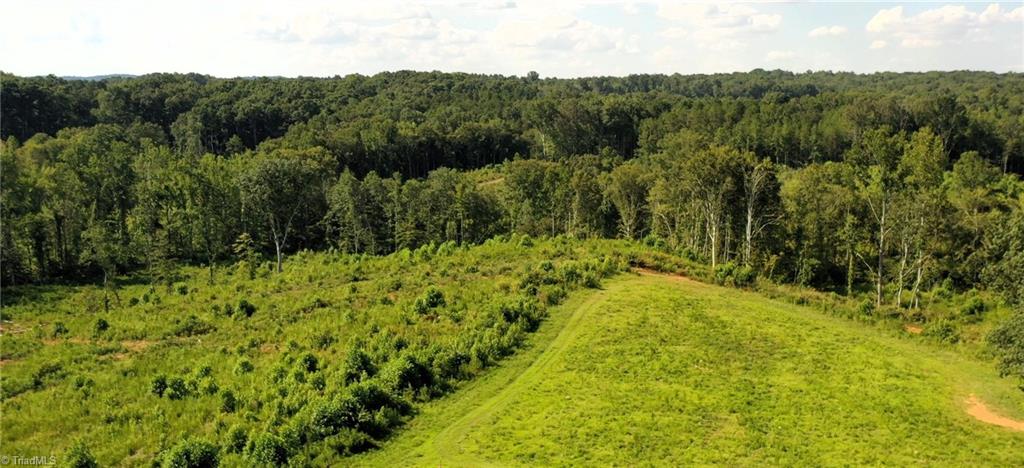 Lot 7 Thayer Road Trinity, NC 27370 - Photo 5 of 25