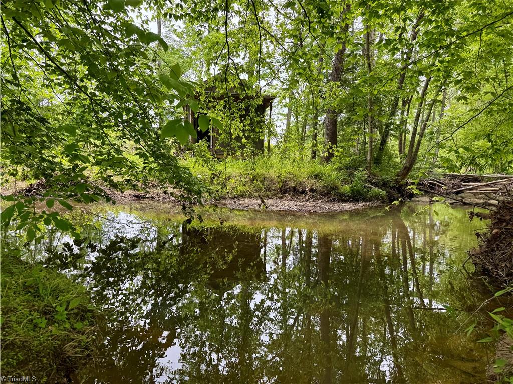 Lot 7 Thayer Road Trinity, NC 27370 - Photo 9 of 25