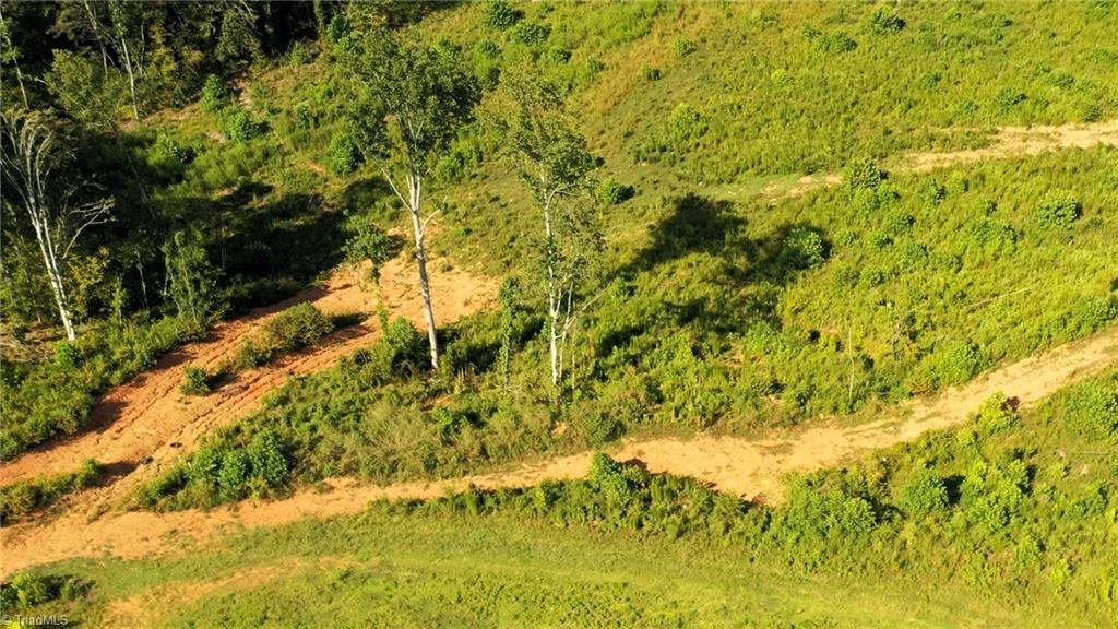 Lot 7 Thayer Road Trinity, NC 27370 - Photo 10 of 25