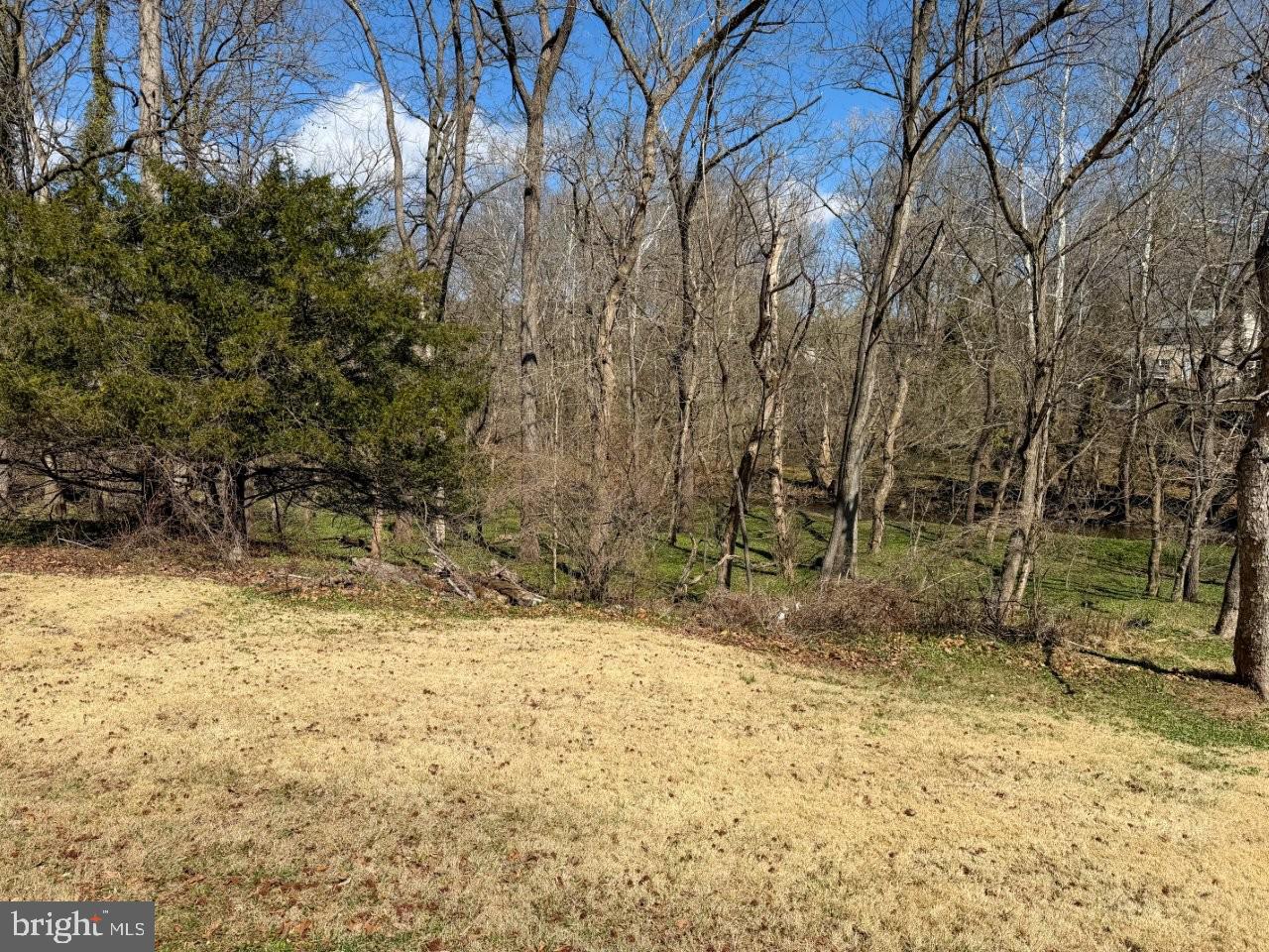 637 North Bishop Avenue Springfield, PA 19064 - Photo 45 of 51 a view of a yard with large trees
