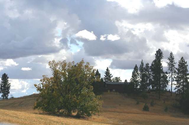 4202 East Olmsted Road Spokane, WA 99223 - Photo 1 of 9 Gallery Image 1