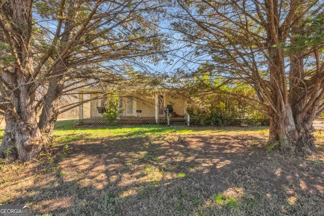 a view of a yard with a trees