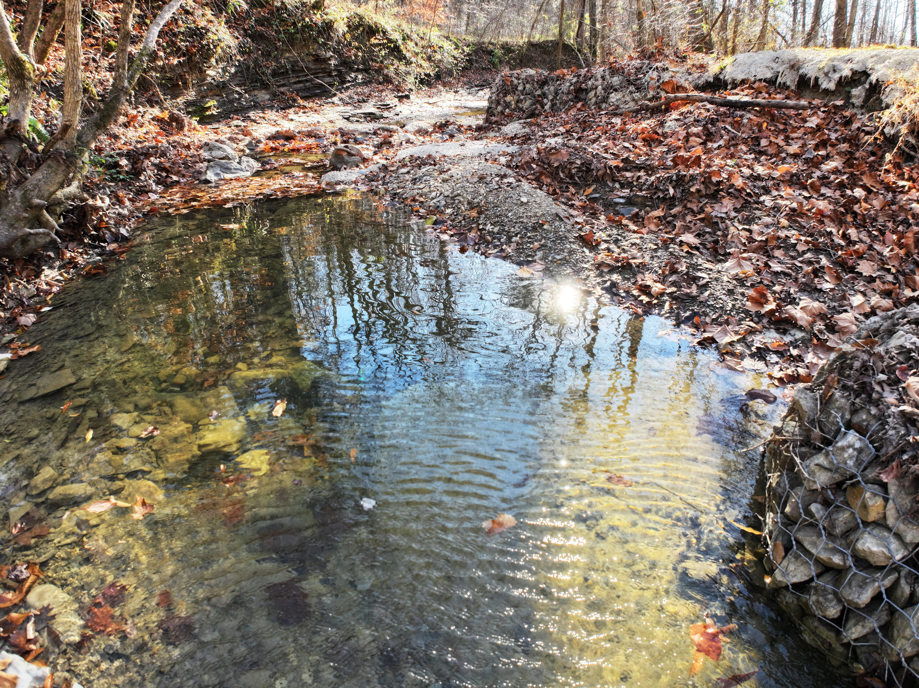 A clear, spring-fed creek flows by the property!