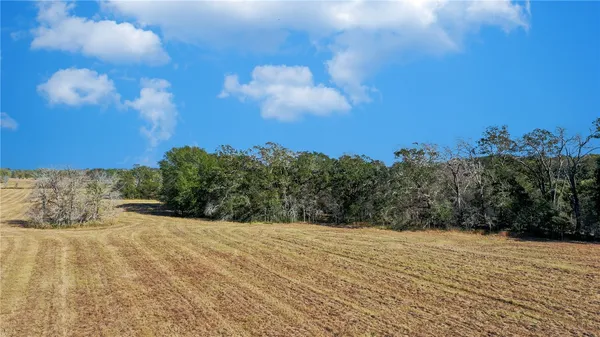 a view of a dry yard