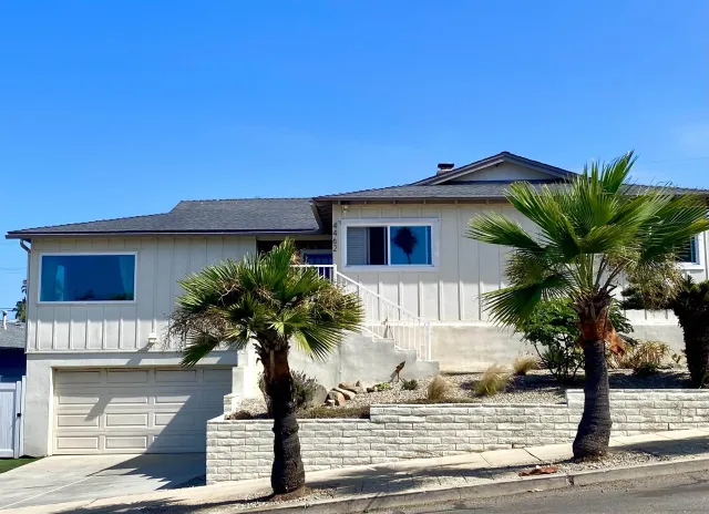a palm tree sitting in front of a house with potted plants