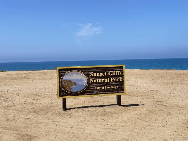 a view of a bench in a yard