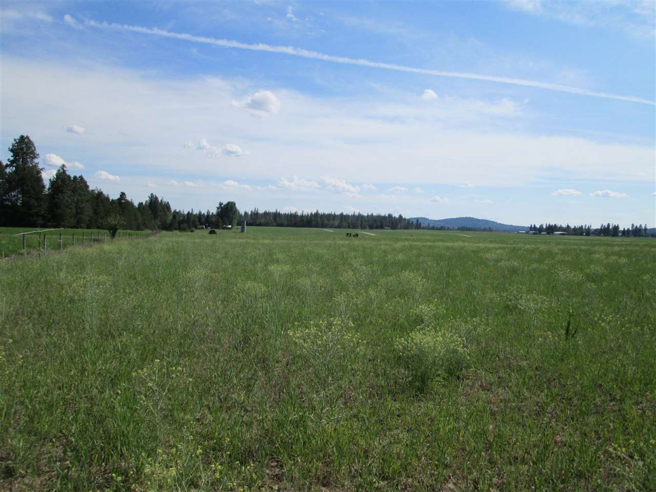 404 West Burroughs Road Deer Park, WA 99006 - Photo 1 of 8