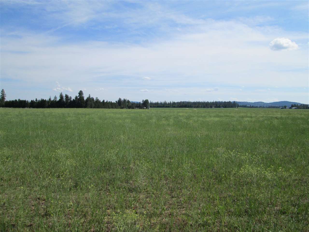 404 West Burroughs Road Deer Park, WA 99006 - Photo 2 of 8