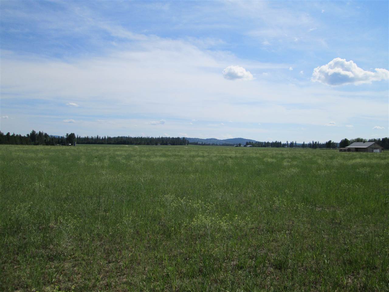 404 West Burroughs Road Deer Park, WA 99006 - Photo 3 of 8