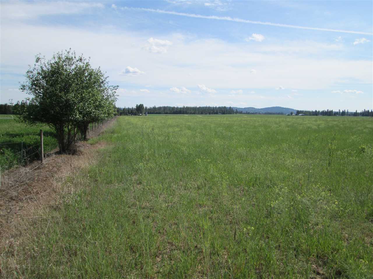 404 West Burroughs Road Deer Park, WA 99006 - Photo 4 of 8