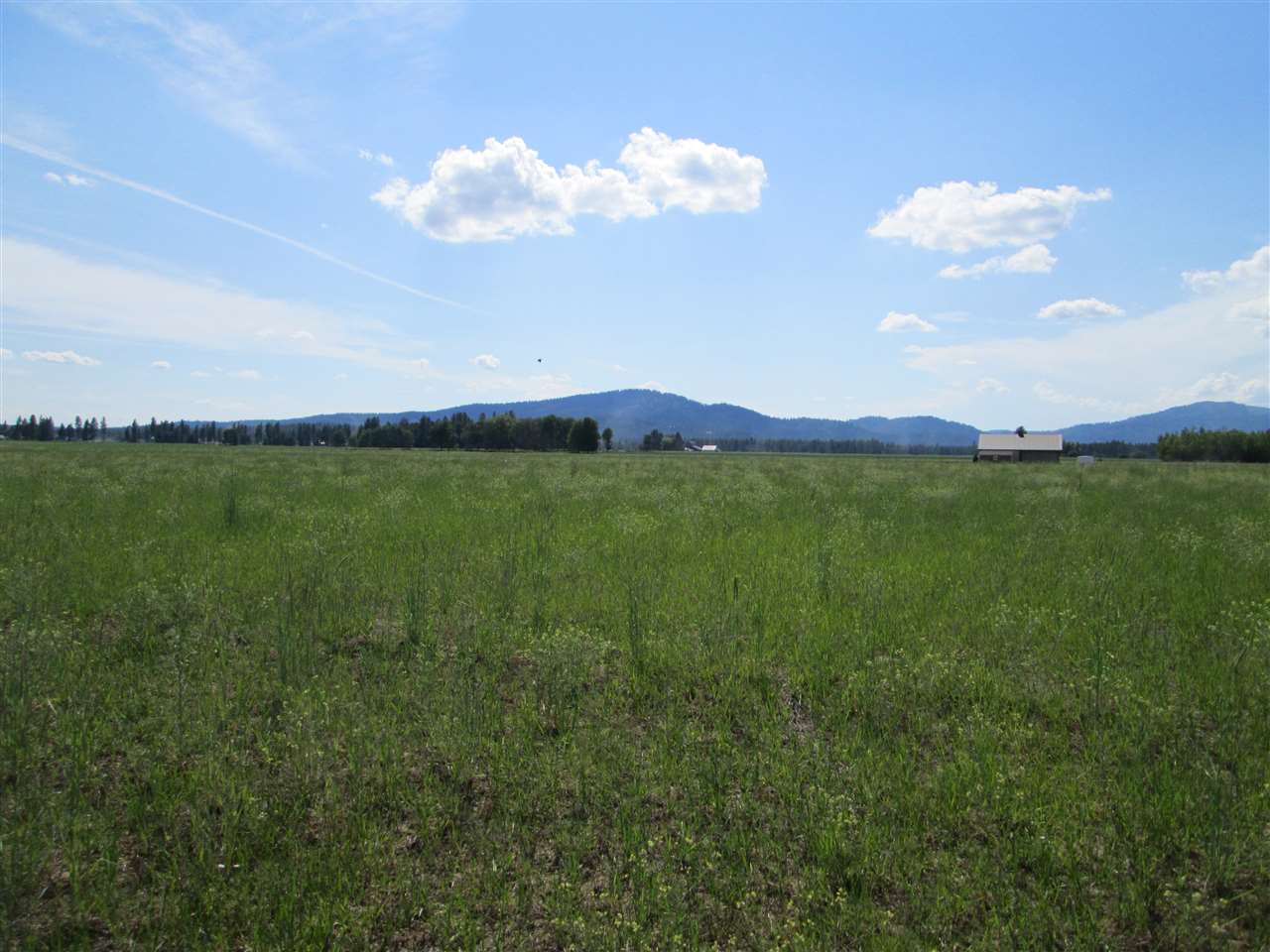 404 West Burroughs Road Deer Park, WA 99006 - Photo 5 of 8