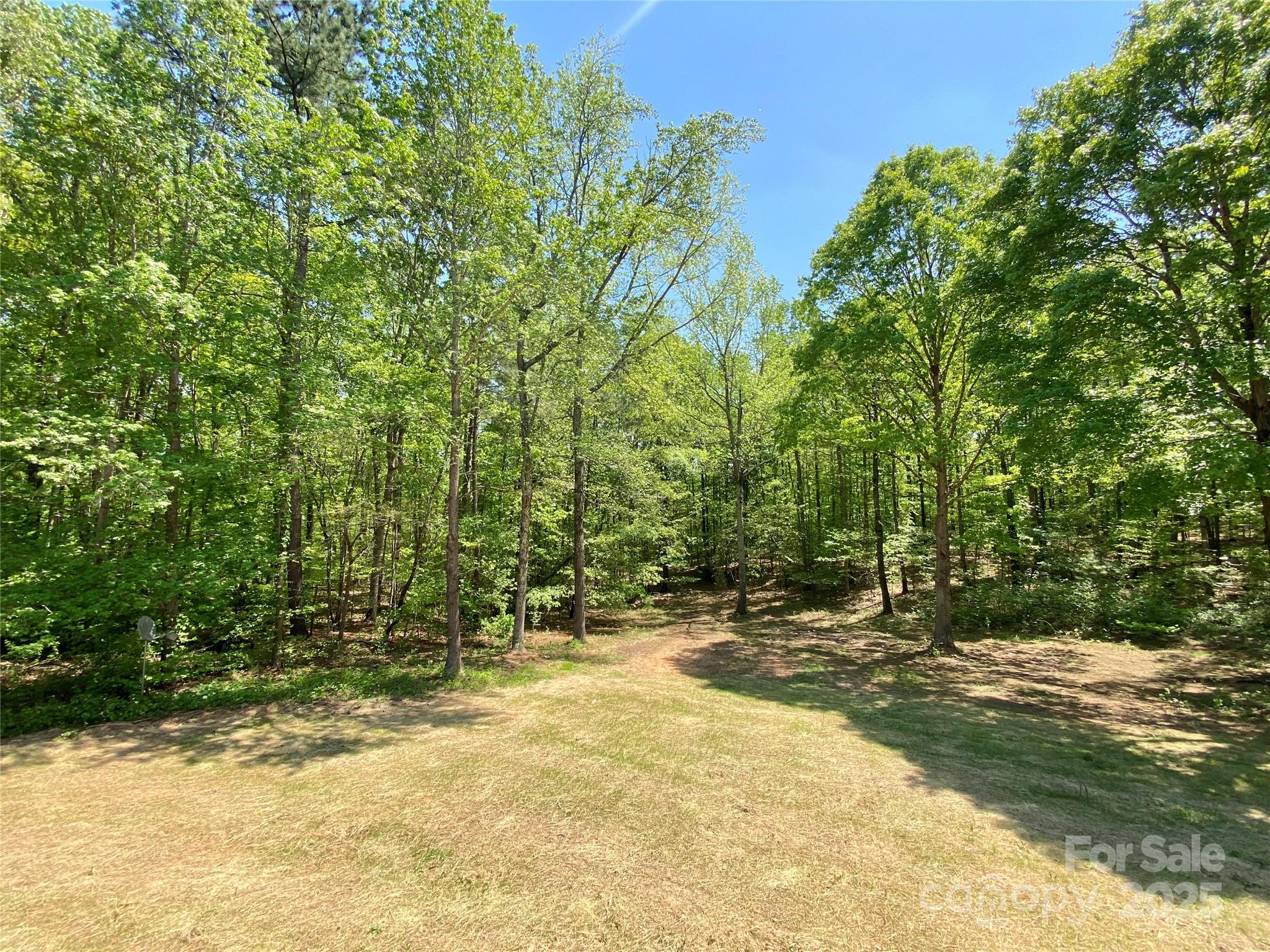 109 Bee Tree Lane Salisbury, NC 28144 - Photo 38 of 39 a view of tree next to a yard