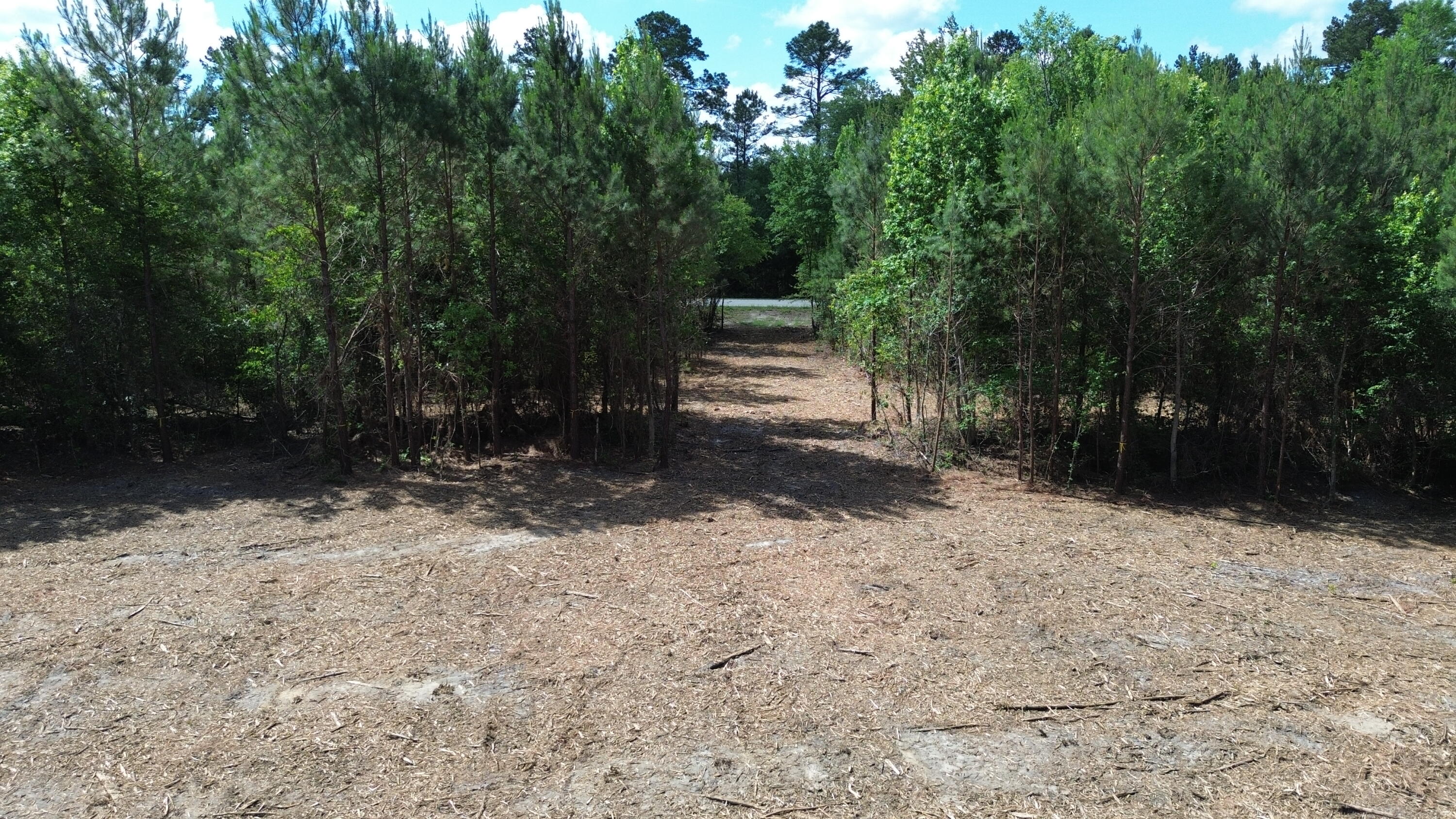 2 Highway 311 Cross, SC 29436 - Photo 4 of 12 DJI_0384