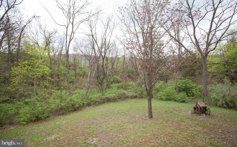 669 Germany Ridge Road Elliottsburg, PA 17024 - Photo 7 of 23 Gallery Image 7