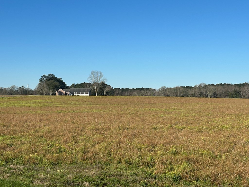 11034-11134 Cty Road Slocomb, AL 36375 - Photo 22 of 80