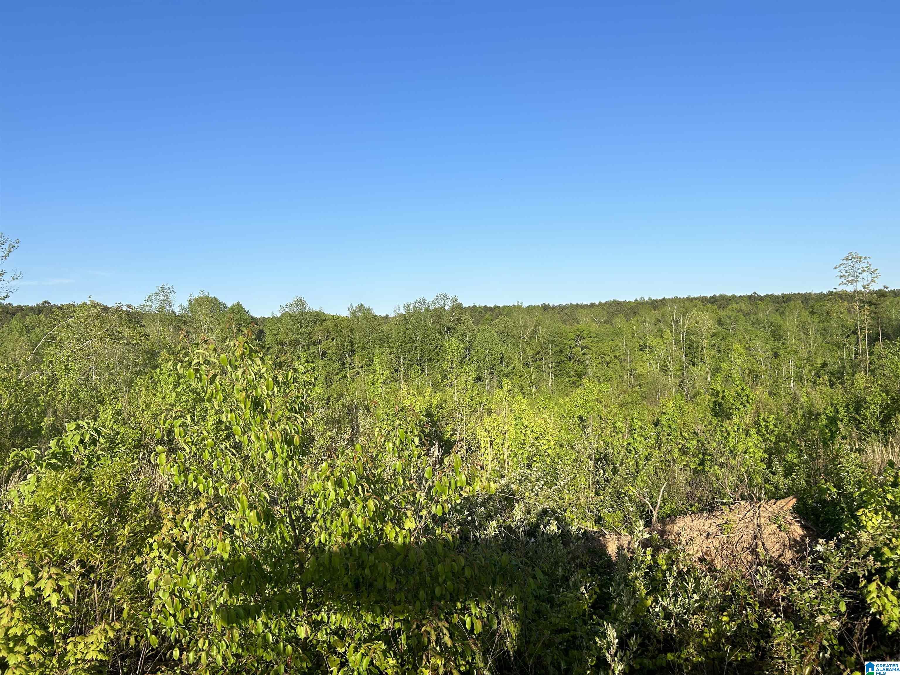 639 County Road, Unit TRACT 3 18 Roanoke, AL 36274 - Photo 3 of 8