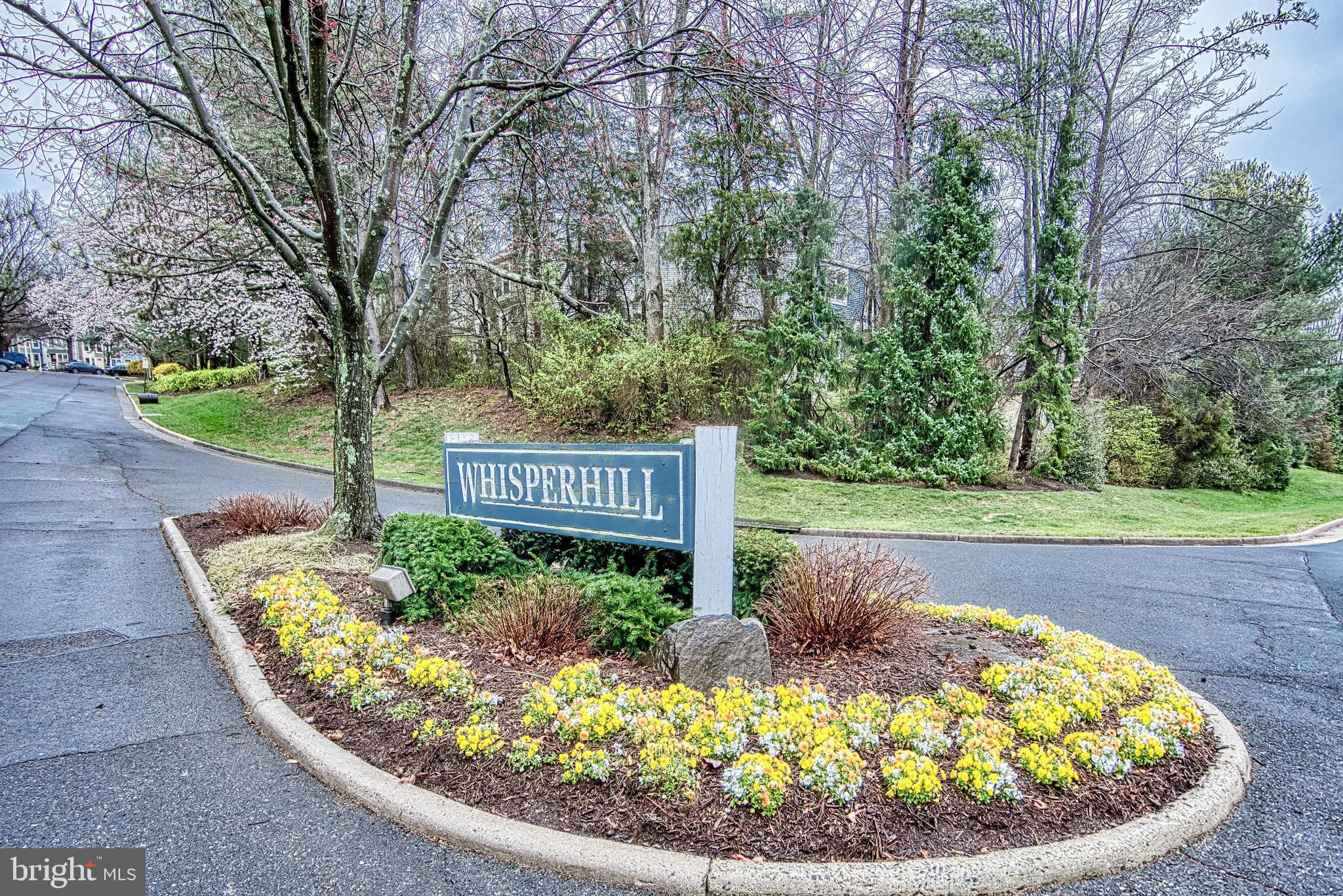 1765 Whisperhill Drive Reston, VA 20194 - Photo 51 of 53