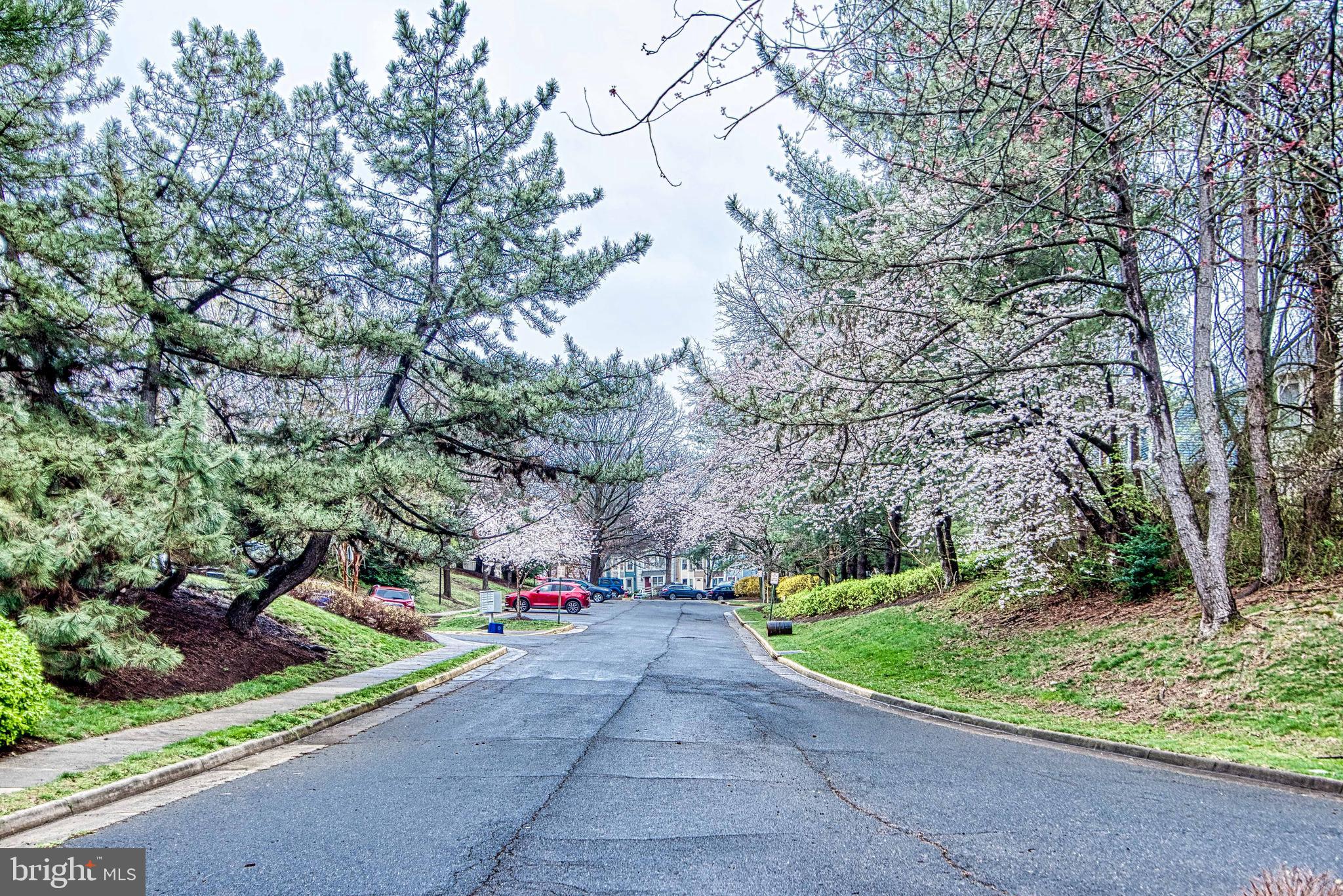 1765 Whisperhill Drive Reston, VA 20194 - Photo 53 of 53