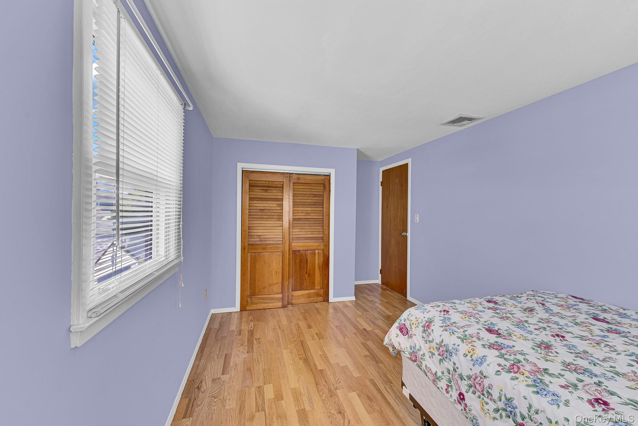 51 Virginia Street Valley Stream, NY 11580 - Photo 8 of 29