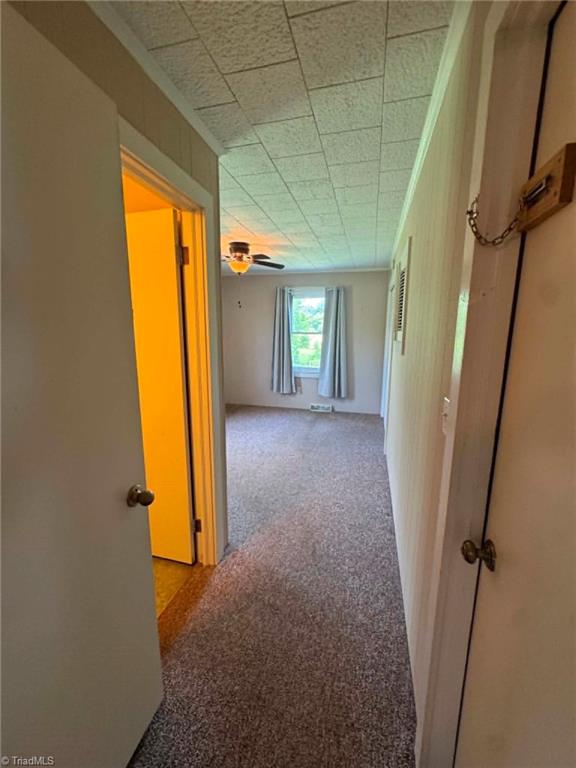 1230 Zephyr Mountain Park Road State Road, NC 28676 - Photo 30 of 50