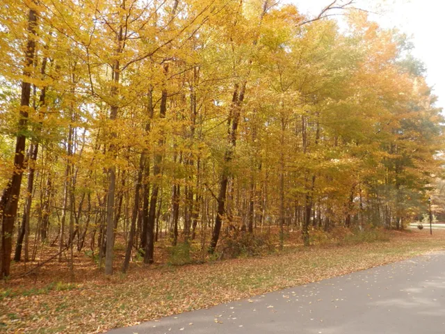 $38,900 | 1 Harlan Drive, Watervliet, MI 49098