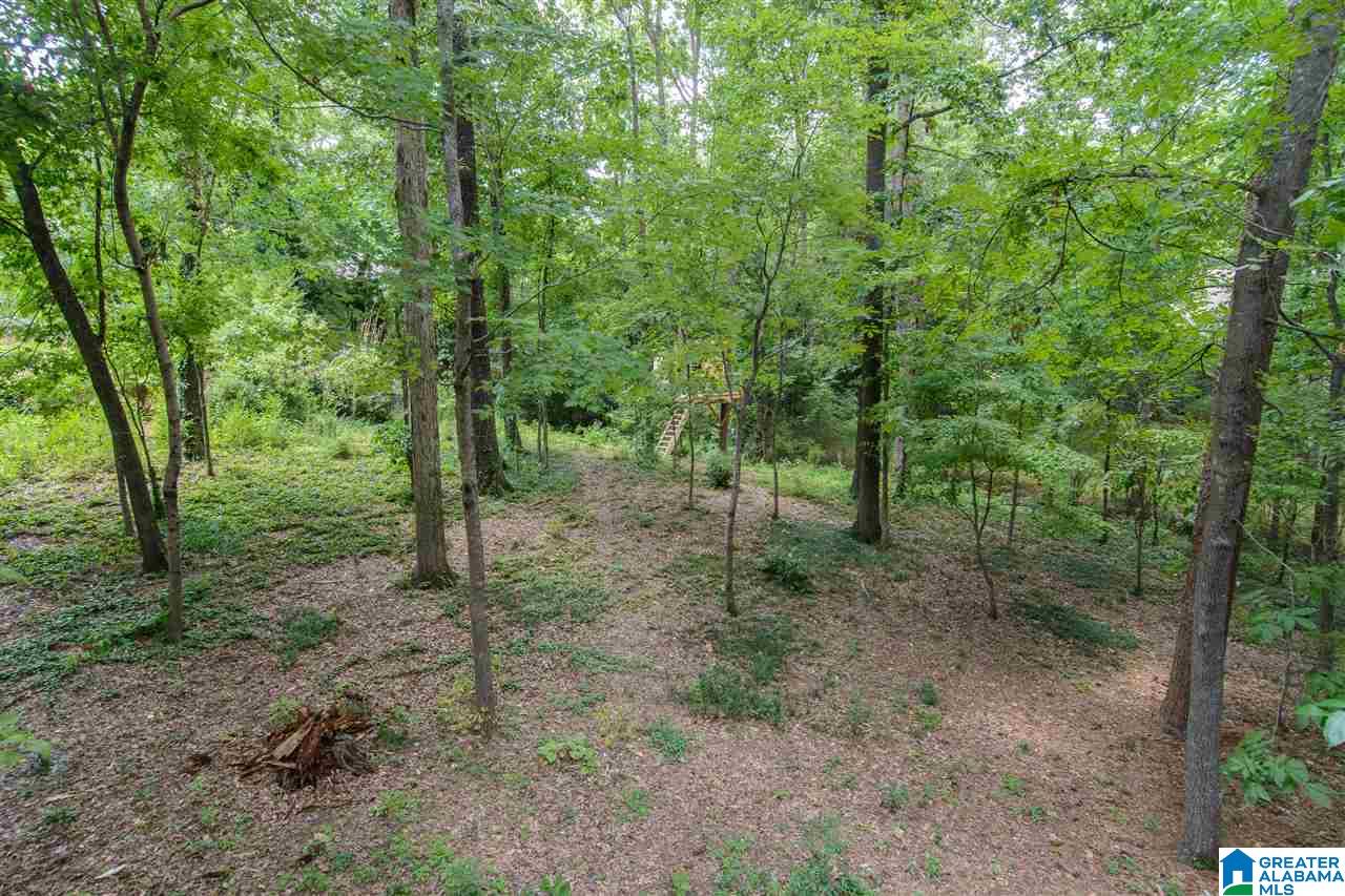 3910 Hunters Lane Birmingham, AL 35243 - Photo 45 of 46