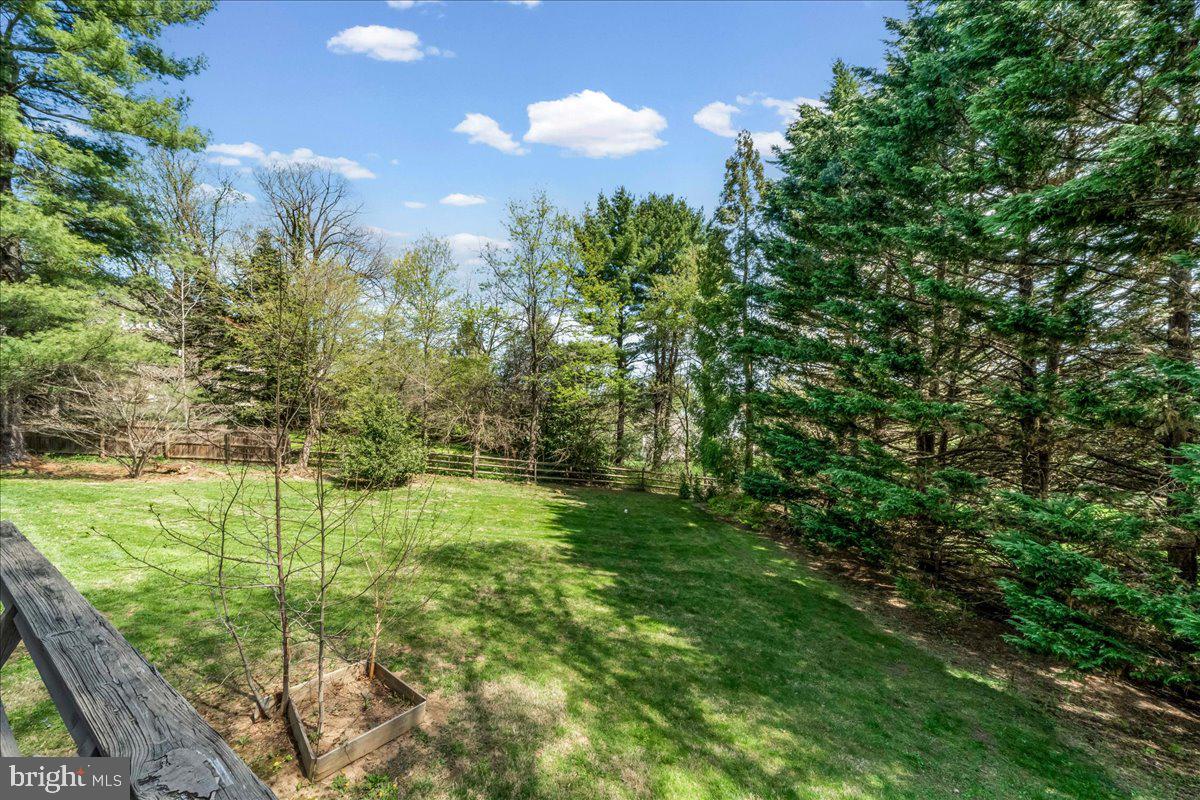 623 South Waterloo Road Devon, PA 19333 - Photo 27 of 31 a view of a big yard