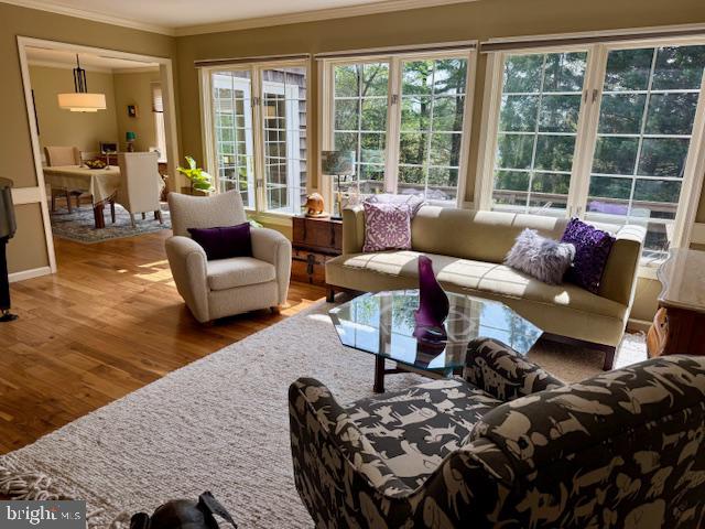 623 South Waterloo Road Devon, PA 19333 - Photo 6 of 31 a living room with furniture and a large window