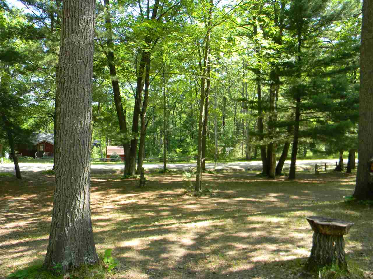 265 Dyer Road Rose City, MI 48654 - Photo 17 of 28 1849746-16.JPG