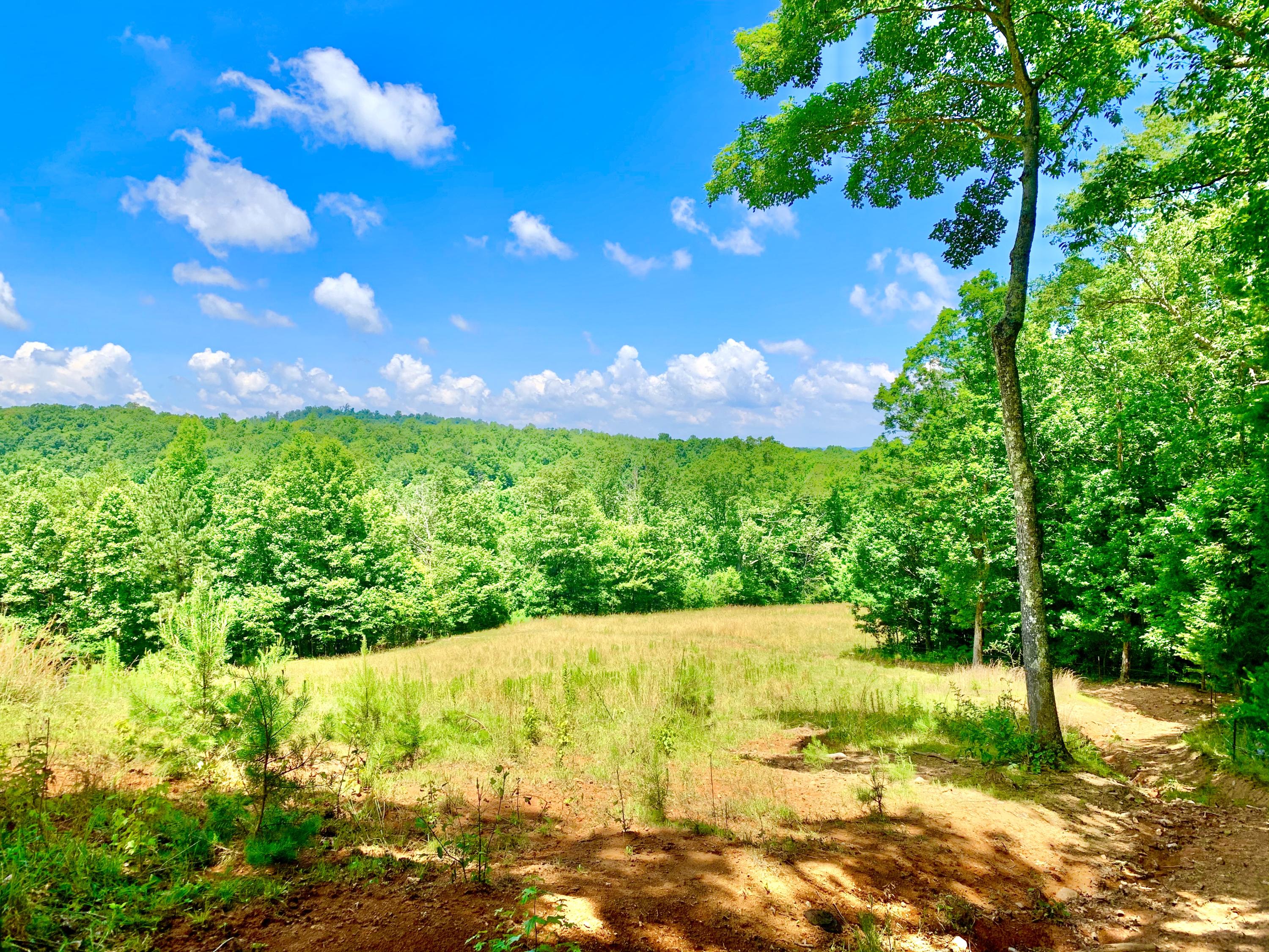 404 Cassi Road Chuckey, TN 37641 - Photo 24 of 40 IMG_1003 (1)