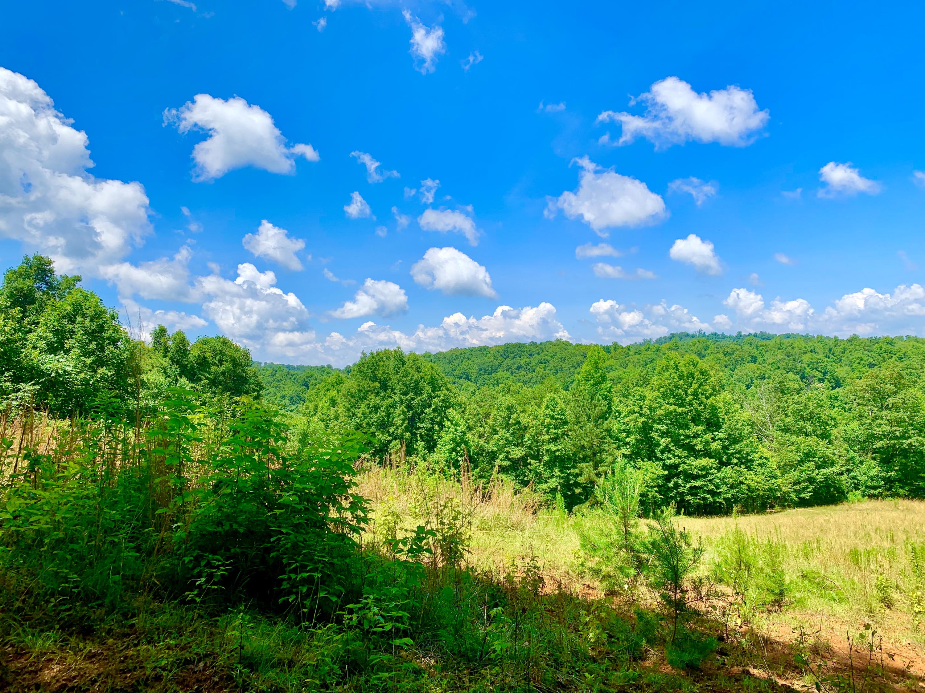 404 Cassi Road Chuckey, TN 37641 - Photo 25 of 40 IMG_1004